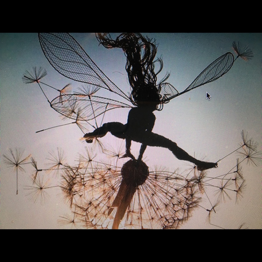 Meet your Posher, Shauna